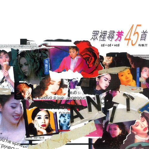 我爱风光好 - 梅艳芳 / 伦永亮