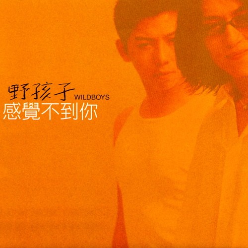 海 - 羽泉