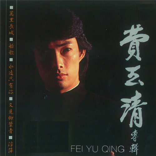 迎风独行 - 费玉清