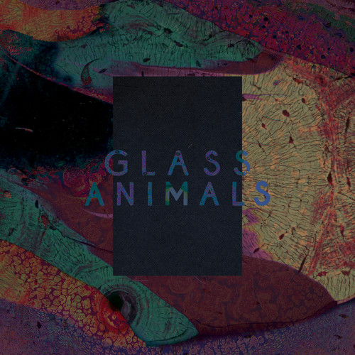 Black Mambo (Zodiac Remix) - Glass Animals
